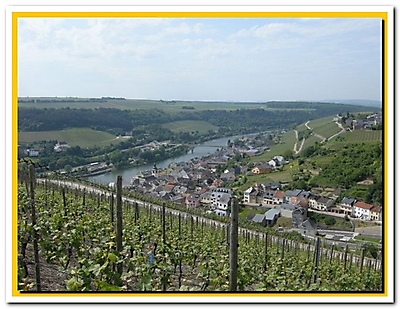 Moselle 2009_27
